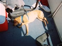photos 2000-200901564